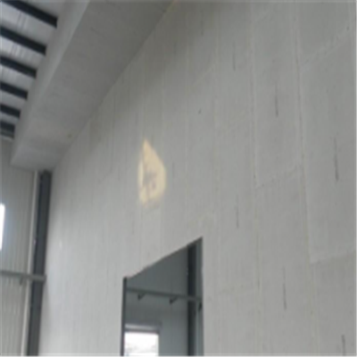 于洪宁波ALC板|EPS加气板隔墙与混凝土整浇联接的实验研讨